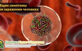 Лихорадкой у человека сопровождается внедрение паразита в кровь