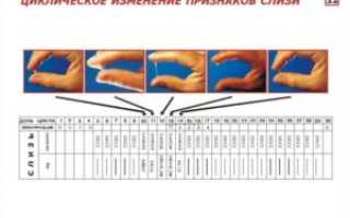 Как определить овуляцию по выделениям и ощущениям с фото