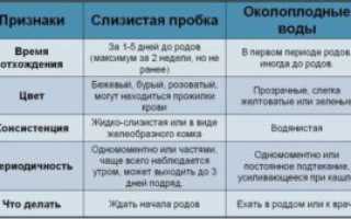 На 37 неделе беременности отходит пробка