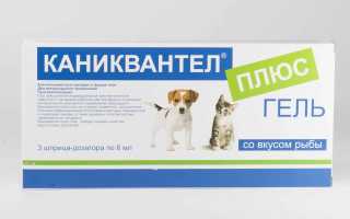 Quantel plus таблетки от глистов инструкция по применению