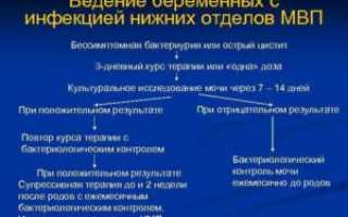Инфекция мочевыводящих путей у беременных