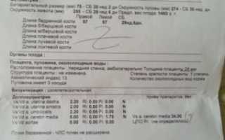 30 Недель беременности узи размеры нормы