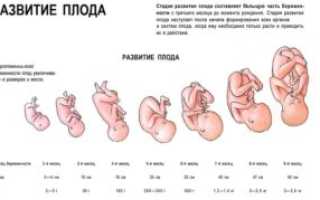Температура 38 беременность 39 недель