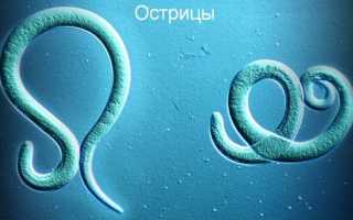 Какие из перечисленных свойств характерны для представителей круглые черви