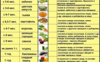 Когда можно вводить белокочанную капусту в прикорм