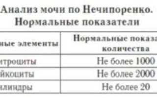 Лейкоциты в моче при беременности по нечипоренко