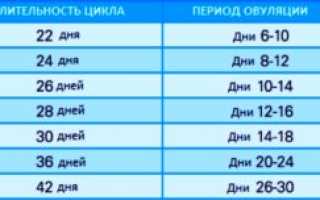 Если Цикл 26 Дней Когда Овуляция Происходит