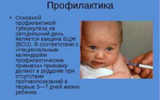 Микобактерии при очаговом туберкулезе