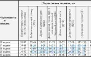Таблица нормы узи в 20 недель беременности таблица
