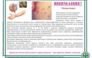 Карантин По Микроспории В Детском Саду Мероприятия
