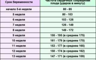 Чсс плода 21 неделя