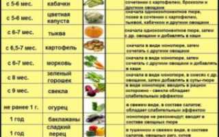 Можно ли яблочное пюре кормящей маме в первый месяц
