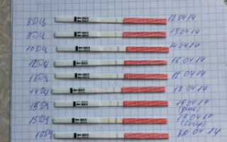 Овуляция на 20 день цикла при 30 дневном цикле