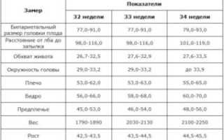 Анатомия плода 32 неделе беременности норма