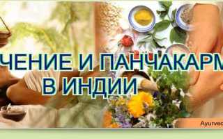 Микобактерии туберкулеза это паразиты