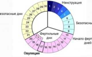 Может ли овуляция быть на 7 день после месячных