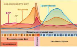 Гормоны во второй фазе цикла