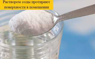 Опасны ли голубиные паразиты для человека