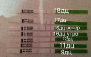 Тянет низ живота на 16 день цикла