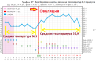 Может ли быть температура тела при зачатии