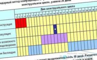 Цикл 26 дней на какой день овуляция запланировать девочку