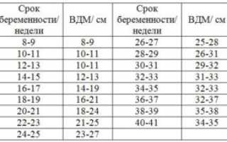 Длина Матки При Беременности По Неделям Таблица