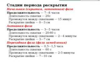 Схватки каждые 20 30 минут через сколько роды