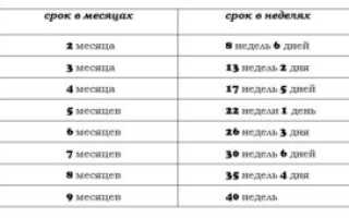 16 17 недель это сколько месяцев беременности