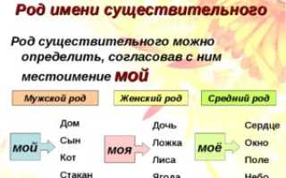 Как научить ребенка определять род
