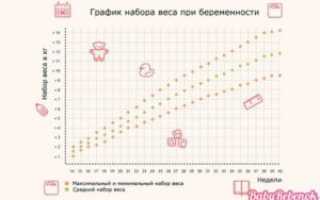 График Набора Веса При Беременности По Неделям