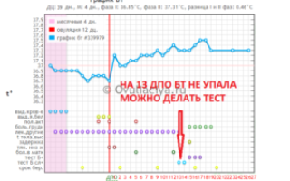 Форум Базальная Температура При Беременности На Ранних