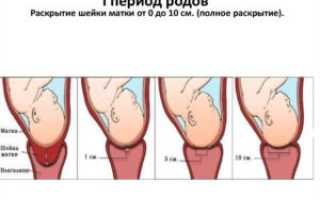 Сколько пальцев открытия должно быть для родов
