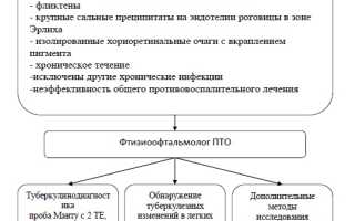Шаги нкл при туберкулезе