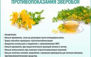 Зверобой при беременности: можно или нельзя?