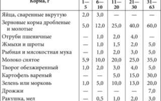 Кукуруза для бройлеров как давать