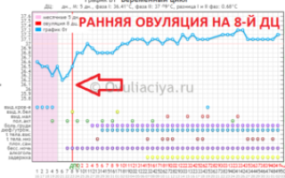 Беременность на 5 день цикла возможна ли