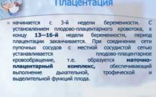 Низкая плацентация при беременности 22 неделя