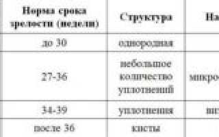 Плацента 2 степени зрелости в 36 недель