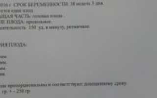 Нормы узи 28 недель