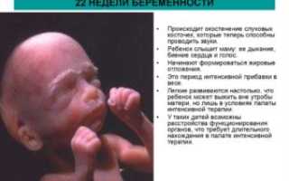 На 22 недели беременности как часто должен шевелиться ребенок