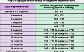 Норма сердцебиения плода на 36 неделе беременности