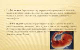 Ощущения на 5 неделе беременности форум