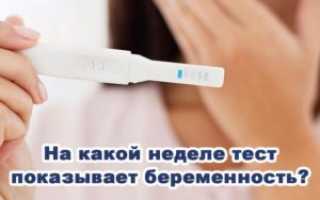На Какой Недели Покажет Беременность Тест Покажет