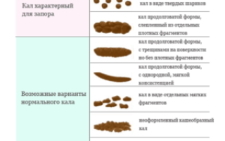Какой должен быть кал в 4 месяца у ребенка