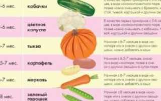 Можно ли лук при грудном вскармливании в первый месяц