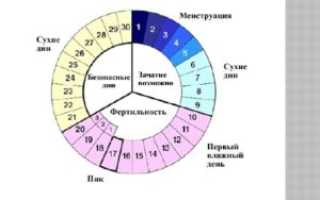 Овуляция За Сколько Дней До Месячных Начинается