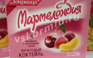 Можно ли мармелад при грудном вскармливании в первый месяц