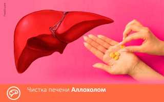 Как принимать аллохол перед лечением глистов