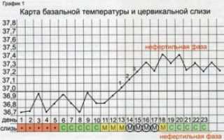 Базальная Температура Утром И Вечером При Беременности